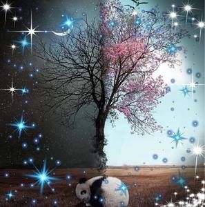 Meet your Posher, Sheila at